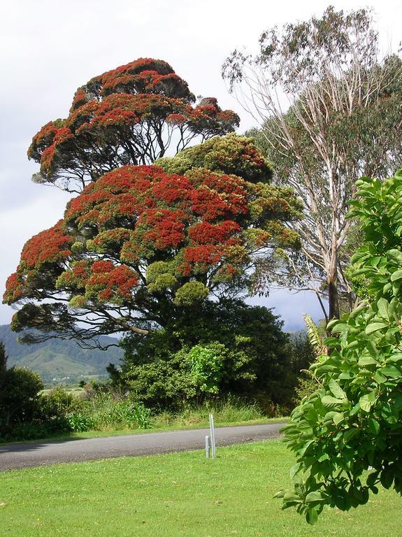 Karamea Holiday Park Extérieur photo